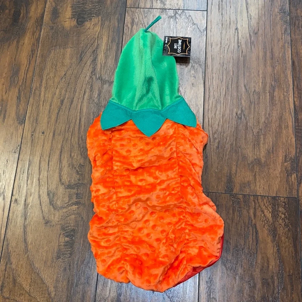 🎉Host Pick🎉 Pet Pumpkin 🎃 Costume